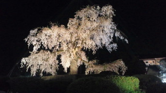 �X�̂������Ȃ����̉�����c �w�@���̖����@�x