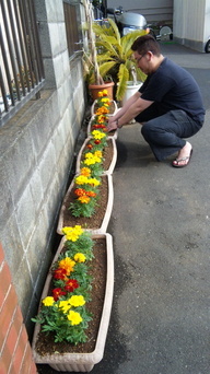 �X�̂������Ȃ����̉�����c �w�@���̖����@�x