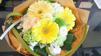 �X�̂������Ȃ����̉�����c �w�@���̖����@�x