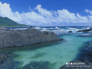 �X�̂������Ȃ����̉�����c �w�@���̖����@�x