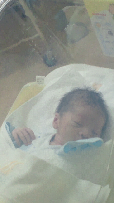 �X�̂������Ȃ����̉�����c �w�@���̖����@�x