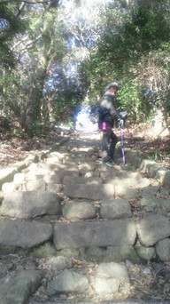 �X�̂������Ȃ����̉�����c �w�@���̖����@�x