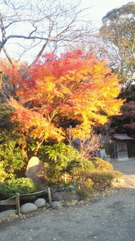 �X�̂������Ȃ����̉�����c �w�@���̖����@�x