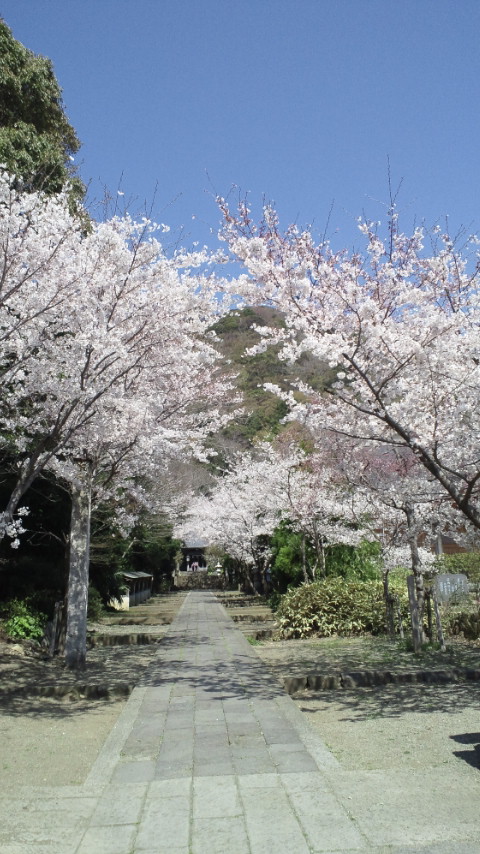 �X�̂������Ȃ����̉�����c �w�@���̖����@�x