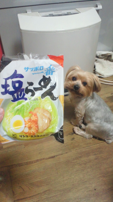 �X�̂������Ȃ����̉�����c �w�@���̖����@�x