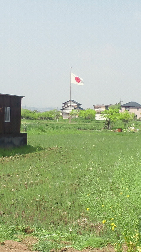 �X�̂������Ȃ����̉�����c �w�@���̖����@�x