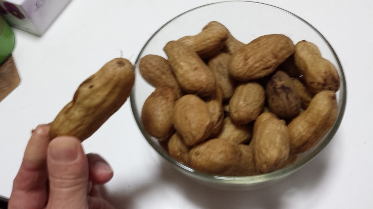 �X�̂������Ȃ����̉�����c �w�@���̖����@�x