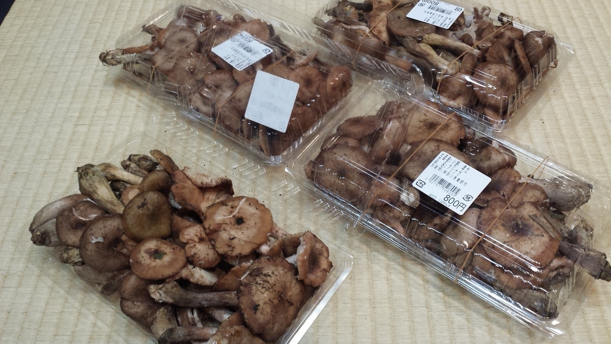 �X�̂������Ȃ����̉�����c �w�@���̖����@�x