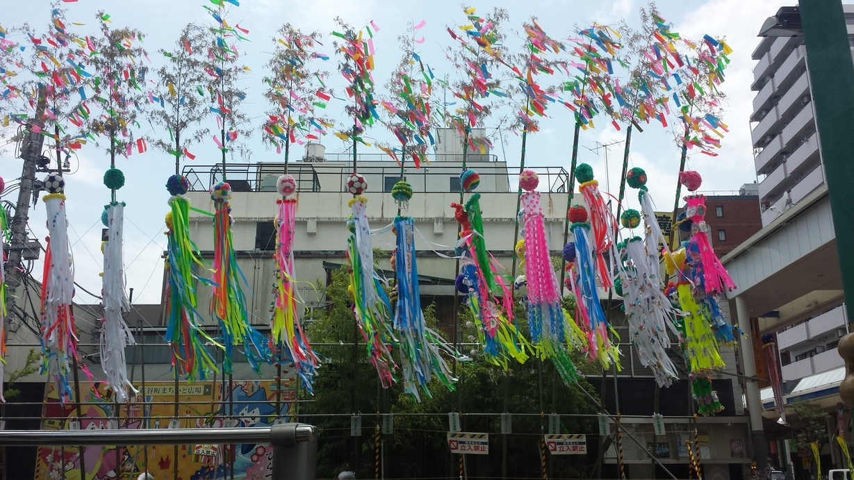 �X�̂������Ȃ����̉�����c �w�@���̖����@�x