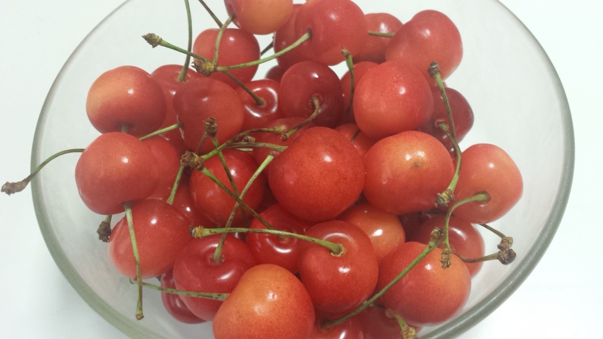 �X�̂������Ȃ����̉�����c �w�@���̖����@�x