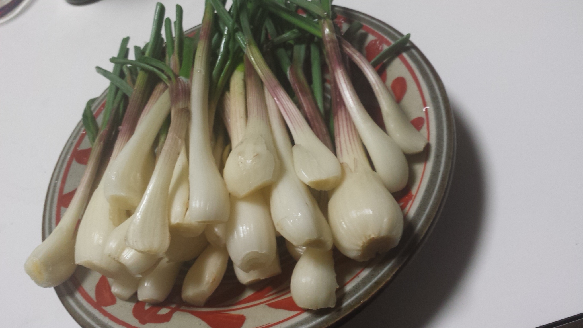 �X�̂������Ȃ����̉�����c �w�@���̖����@�x