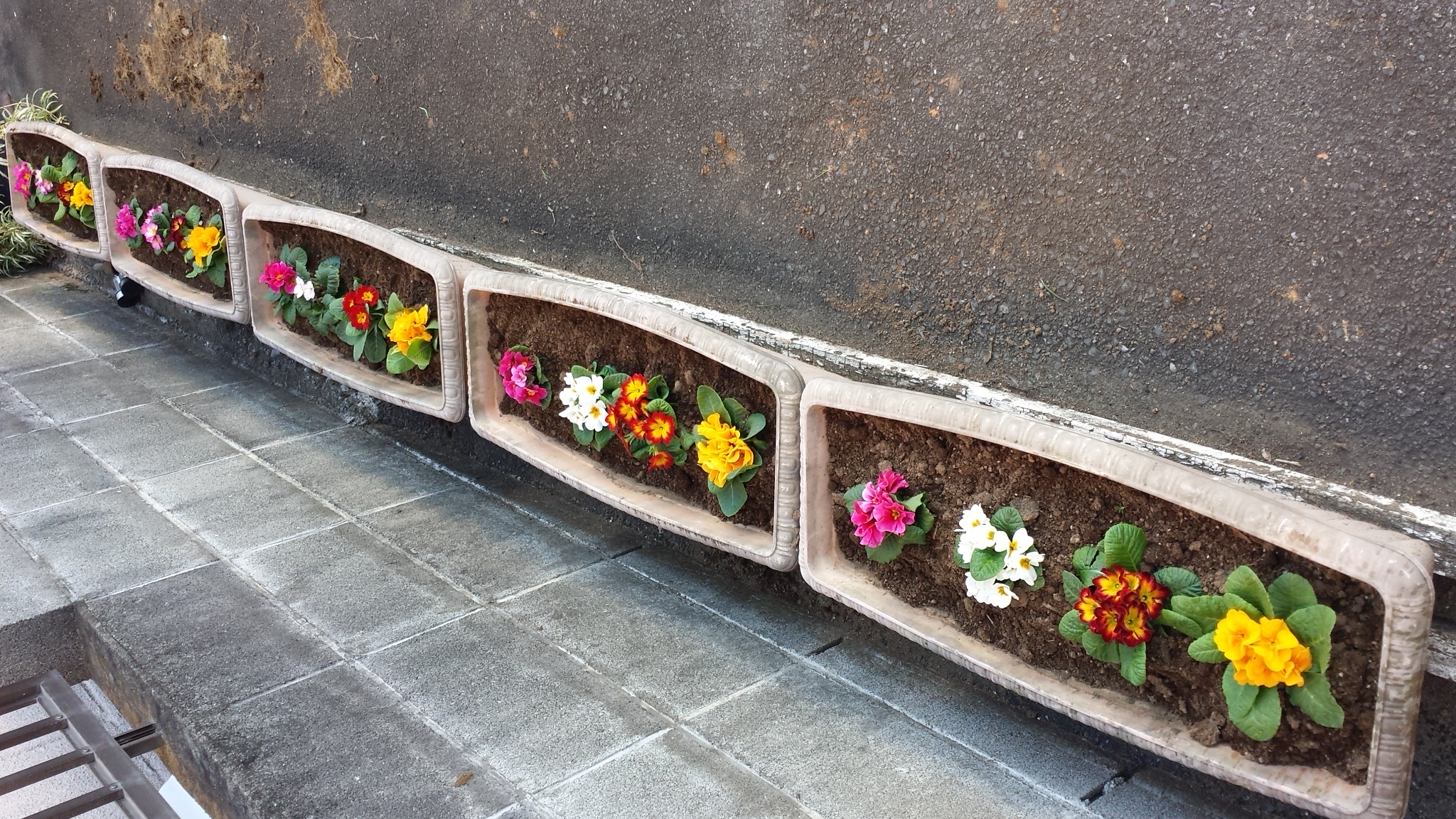 �X�̂������Ȃ����̉�����c �w�@���̖����@�x