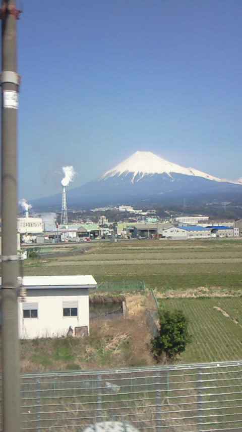 �X�̂������Ȃ����̉�����c �w�@���̖����@�x