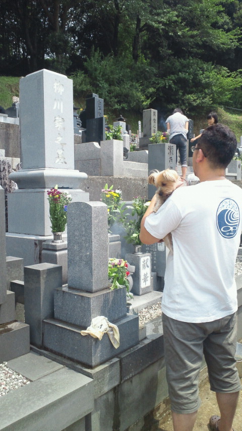 �X�̂������Ȃ����̉�����c �w�@���̖����@�x