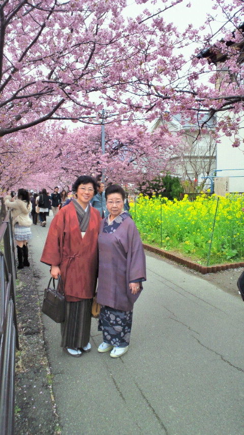 �X�̂������Ȃ����̉�����c �w�@���̖����@�x