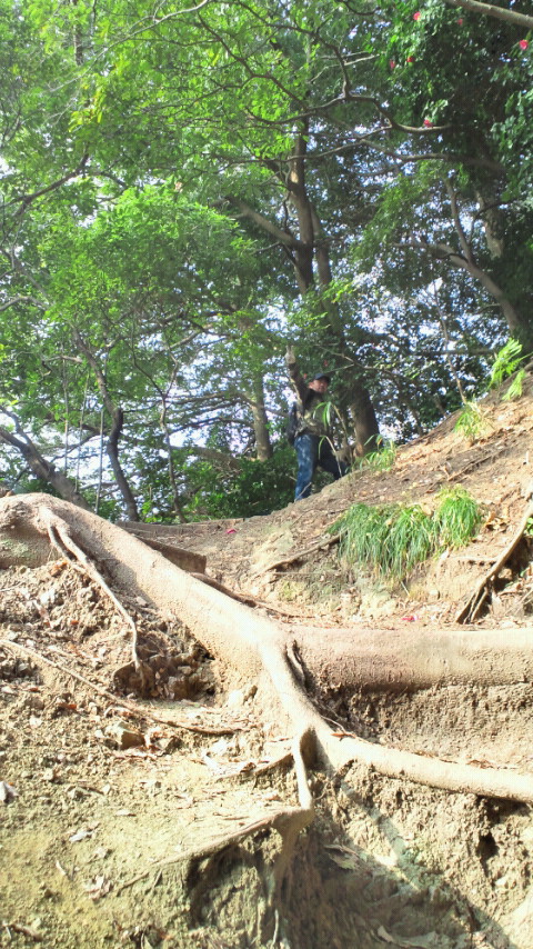 �X�̂������Ȃ����̉�����c �w�@���̖����@�x