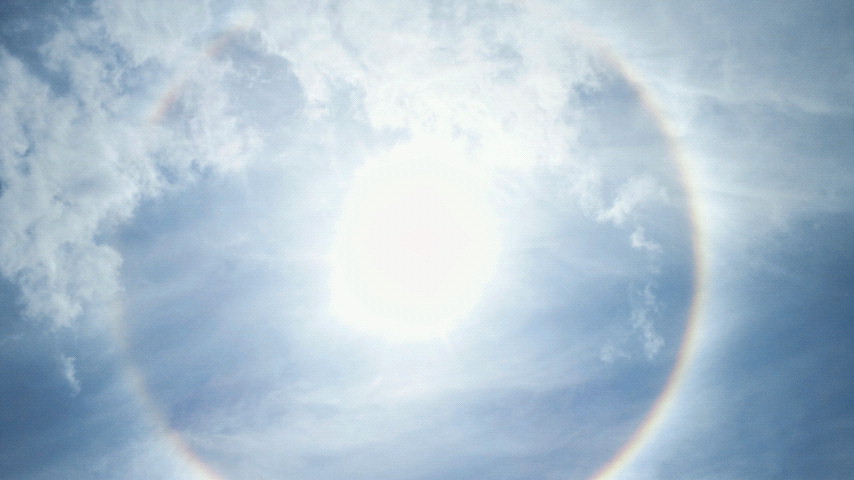 �X�̂������Ȃ����̉�����c �w�@���̖����@�x