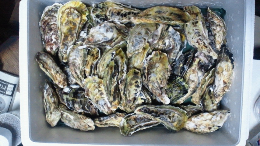 �X�̂������Ȃ����̉�����c �w�@���̖����@�x