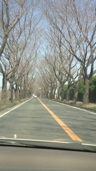 �X�̂������Ȃ����̉�����c �w�@���̖����@�x