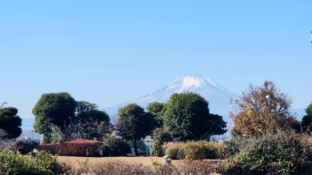 ���葱����2025�N�A�����~�܂�����Ɍ������i�F�i�F��w�̎q�ǂ������ւ̑��菑���j