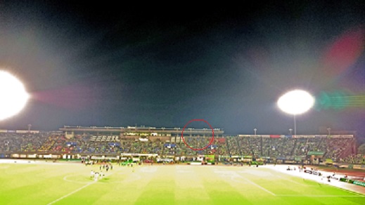 ���˂��z�[���̃N�}�ƃI�T��