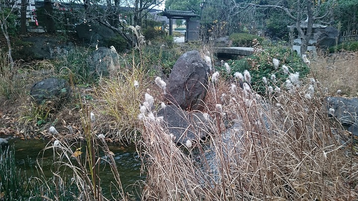 ���˂��z�[���̃N�}�ƃI�T��