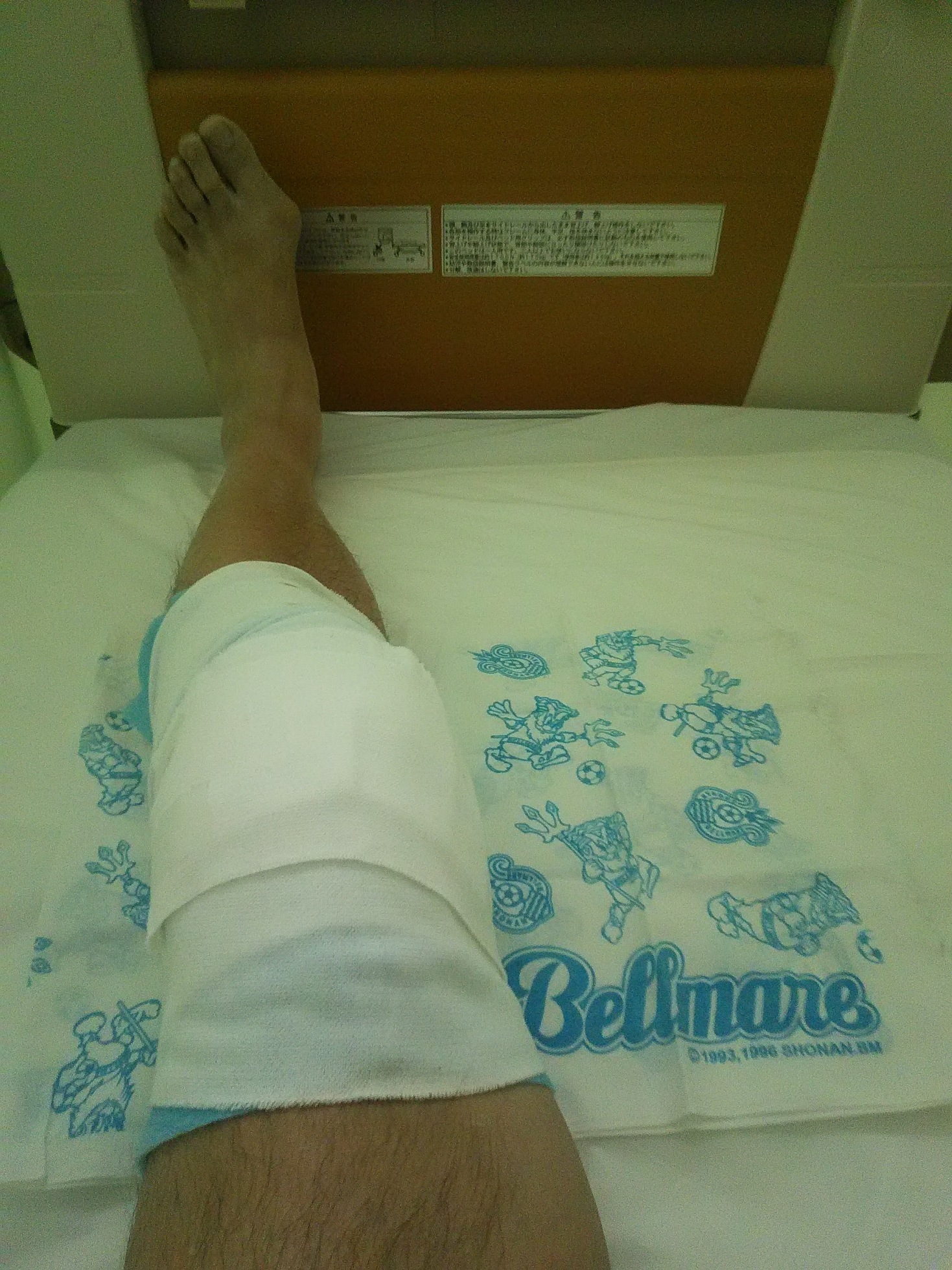 ���˂��z�[���̃N�}�ƃI�T��