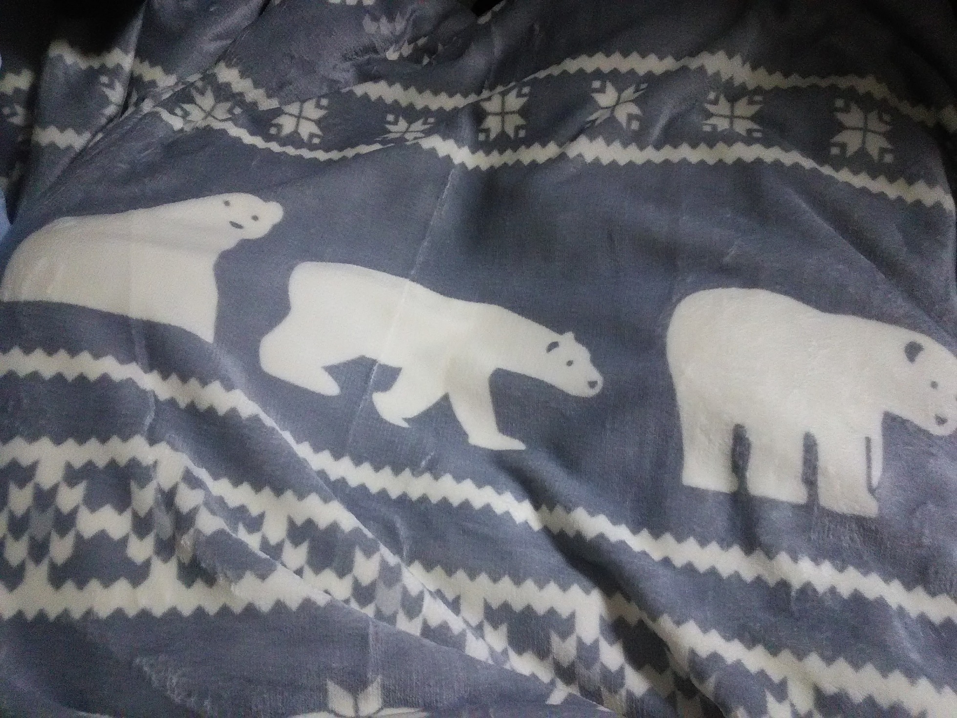 ���˂��z�[���̃N�}�ƃI�T��