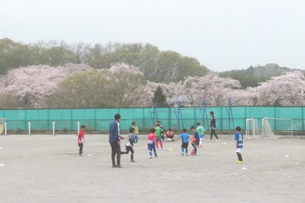 ���R���T�b�J�[�����@�`�@�V�w���̃X�^�[�g���K���܂����@�`�i���݂�ȃT�b�J�[���悤FC�R���Q�O�Q�Seasy my web�j