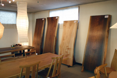 ���ˁE���E��{�@ �Ó�̎����ȏ��