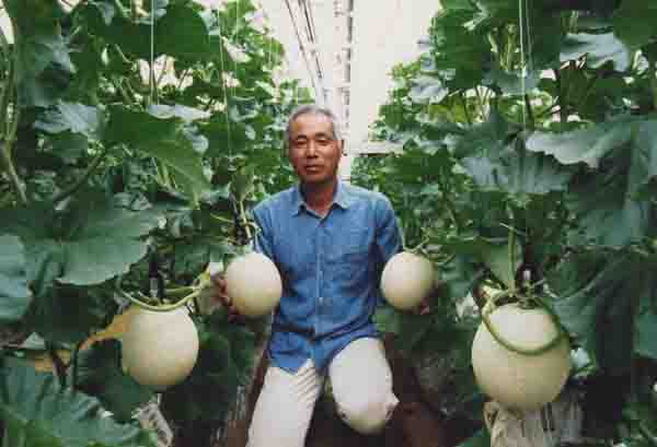 ���ˁE���E��{�@ �Ó�̎����ȏ��