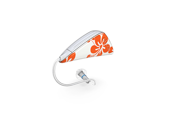 ���ˁE���E��{�@ �Ó�̎����ȏ��