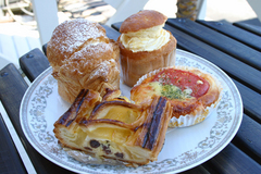 ���ˁE���E��{�@ �Ó�̎����ȏ��