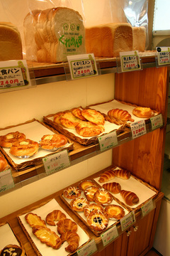 ���ˁE���E��{�@ �Ó�̎����ȏ��