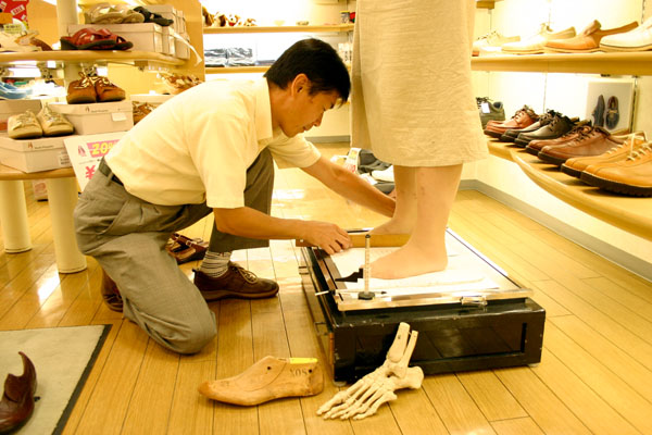 ���ˁE���E��{�@ �Ó�̎����ȏ��