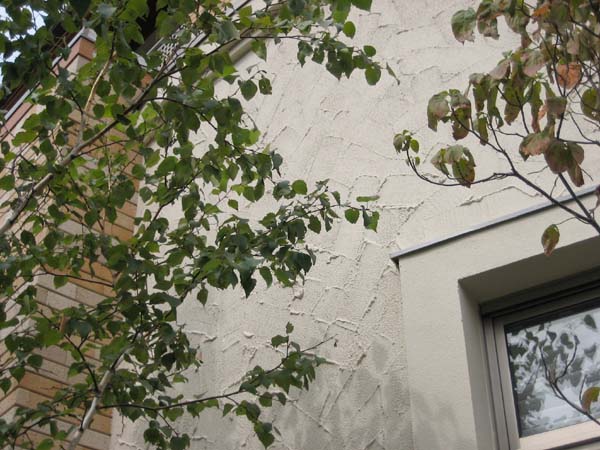 ���ˁE���E��{�@ �Ó�̎����ȏ��