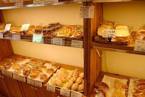 ���ˁE���E��{�@ �Ó�̎����ȏ��