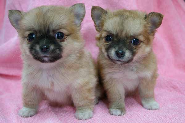 ���ˁE���E��{�@ �Ó�̎����ȏ��