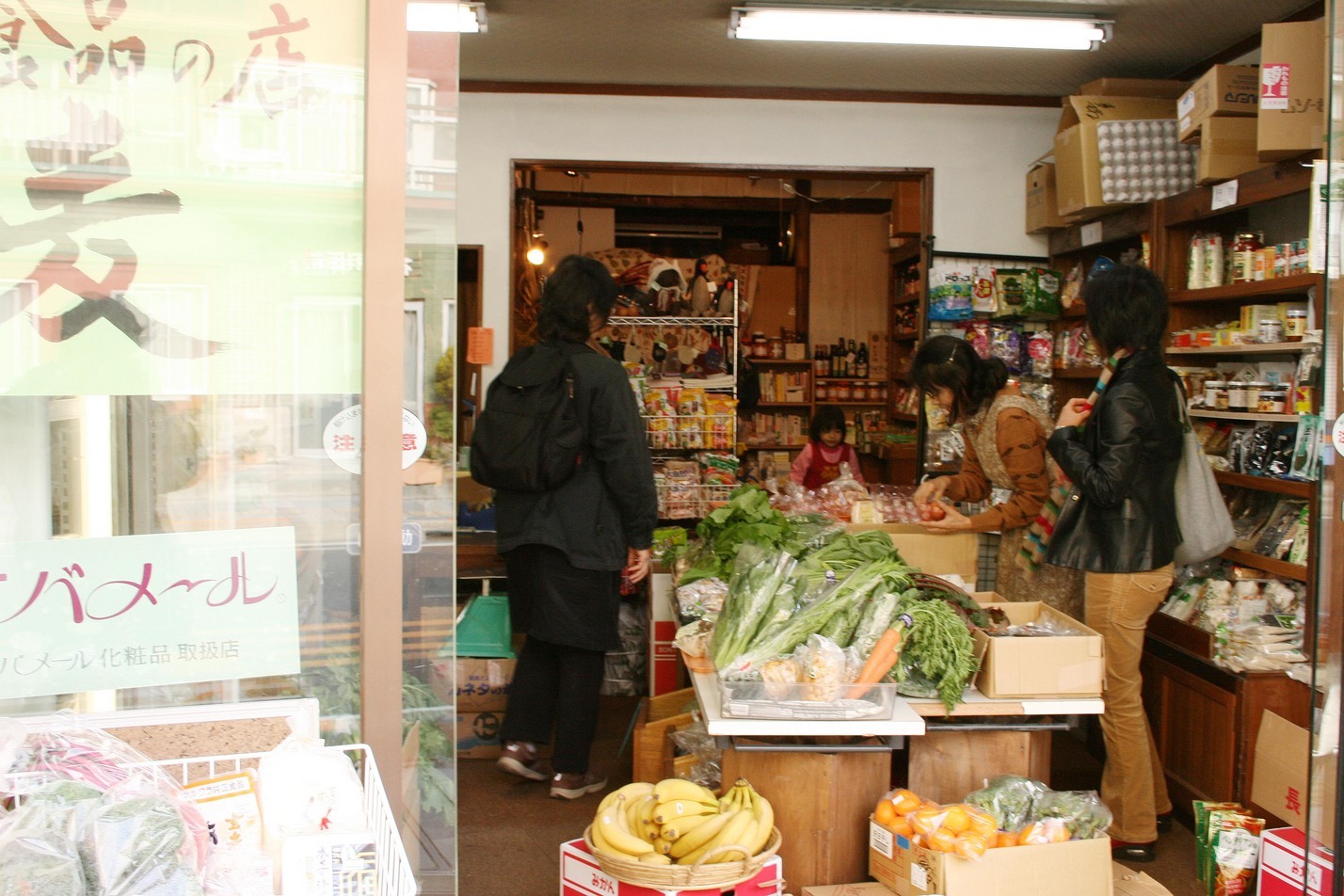 ���ˁE���E��{�@ �Ó�̎����ȏ��