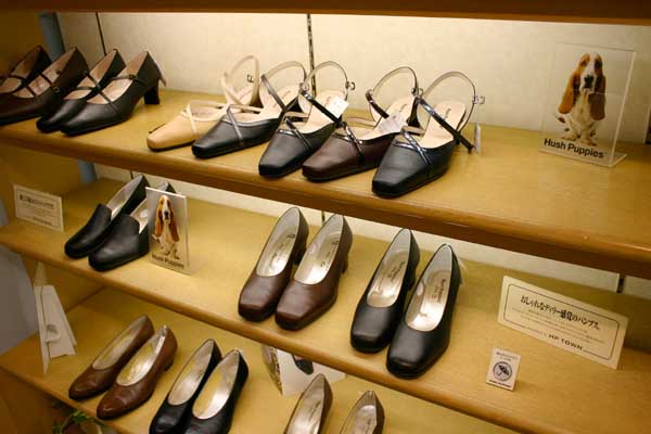 ���ˁE���E��{�@ �Ó�̎����ȏ��