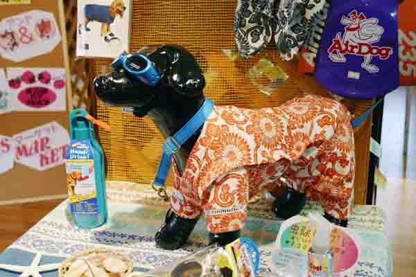 ���ˁE���E��{�@ �Ó�̎����ȏ��