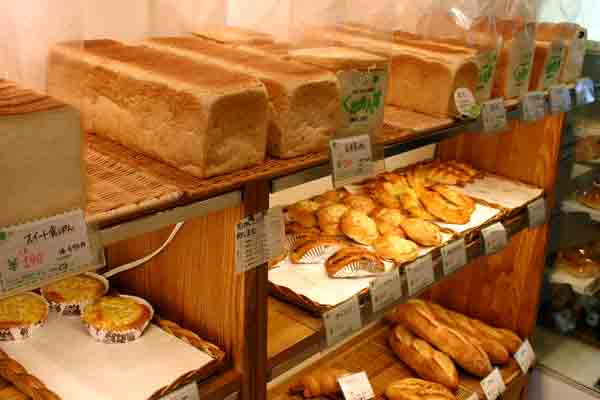 ���ˁE���E��{�@ �Ó�̎����ȏ��