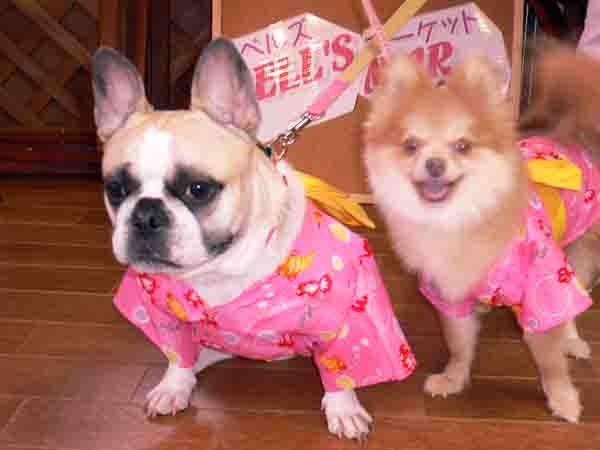 ���ˁE���E��{�@ �Ó�̎����ȏ��