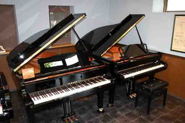 ���ˁE���E��{�@ �Ó�̎����ȏ��