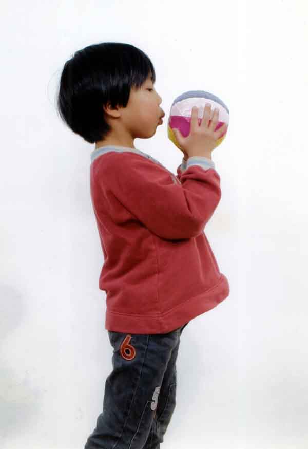 ���ˁE���E��{�@ �Ó�̎����ȏ��