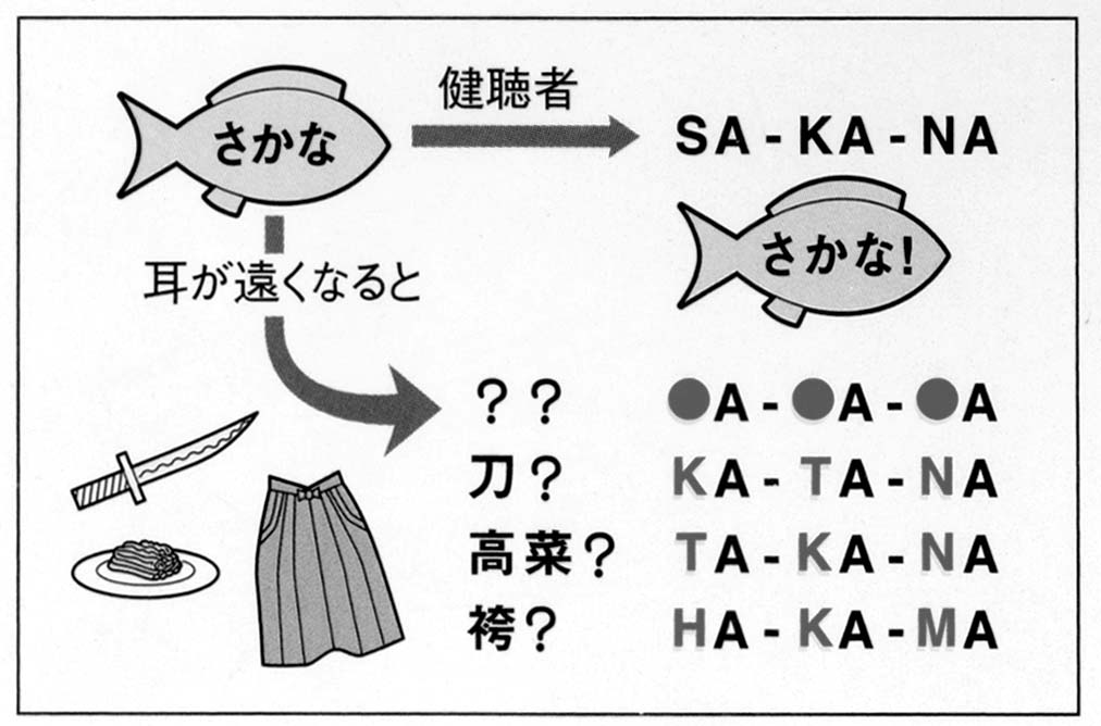 ���ˁE���E��{�@ �Ó�̎����ȏ��