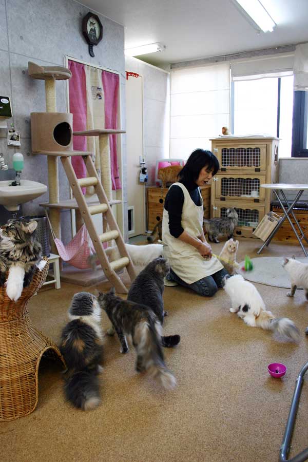 ���ˁE���E��{�@ �Ó�̎����ȏ��