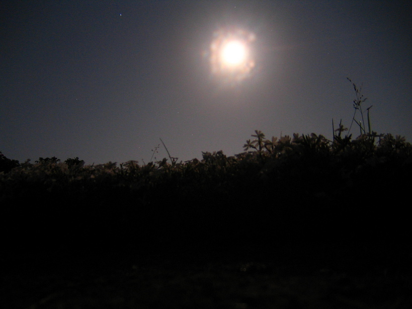 ��߂�ꂽ��