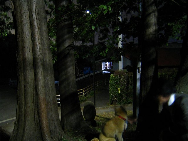 ��߂�ꂽ��