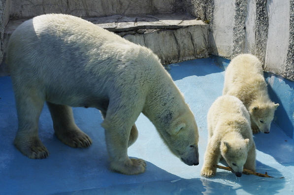 ���񂽂Ƃ���̂����낤��